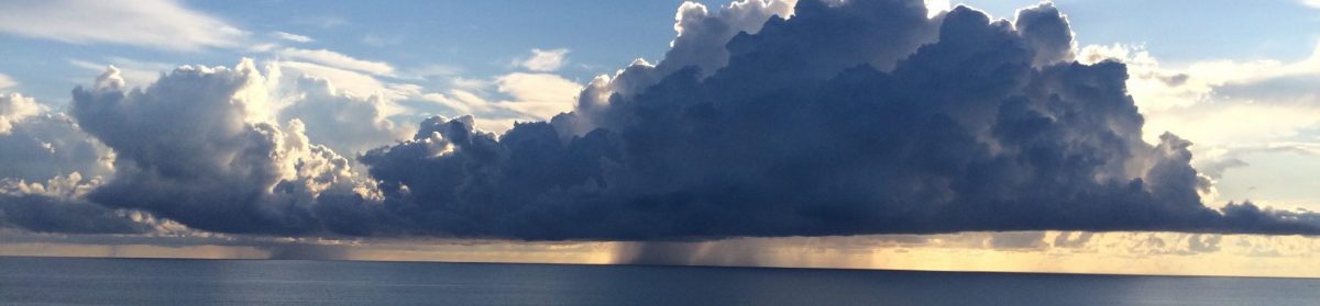Oceanique Oceanfront Condominium Association